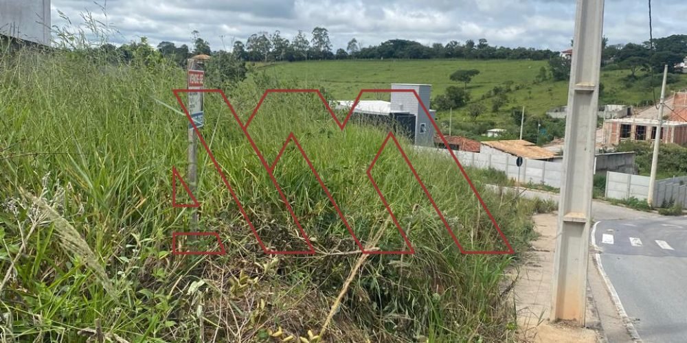 WhatsApp Image 2025-02-07 at 13.29.20