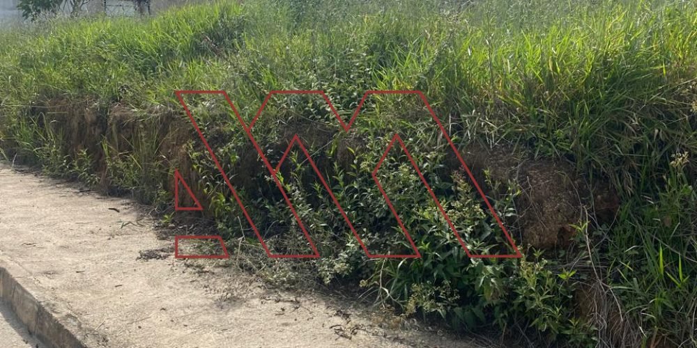 WhatsApp Image 2025-02-07 at 13.29.22 (1)