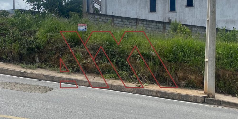 WhatsApp Image 2025-02-07 at 13.29.22 (2)