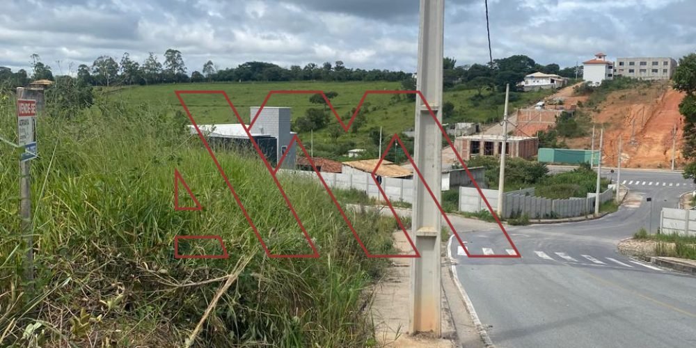 WhatsApp Image 2025-02-07 at 13.29.42