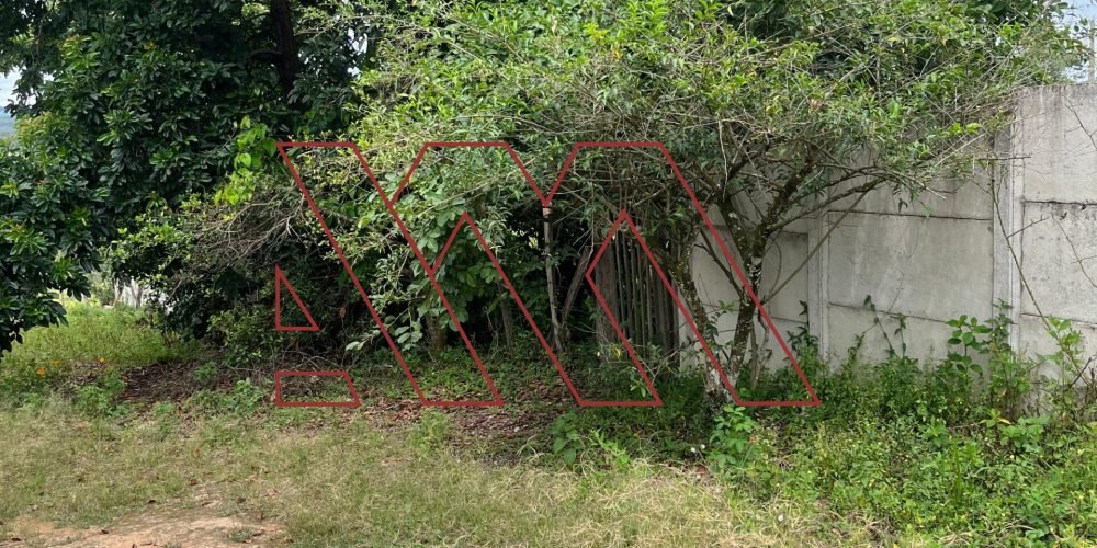 WhatsApp Image 2025-02-13 at 19.08.24