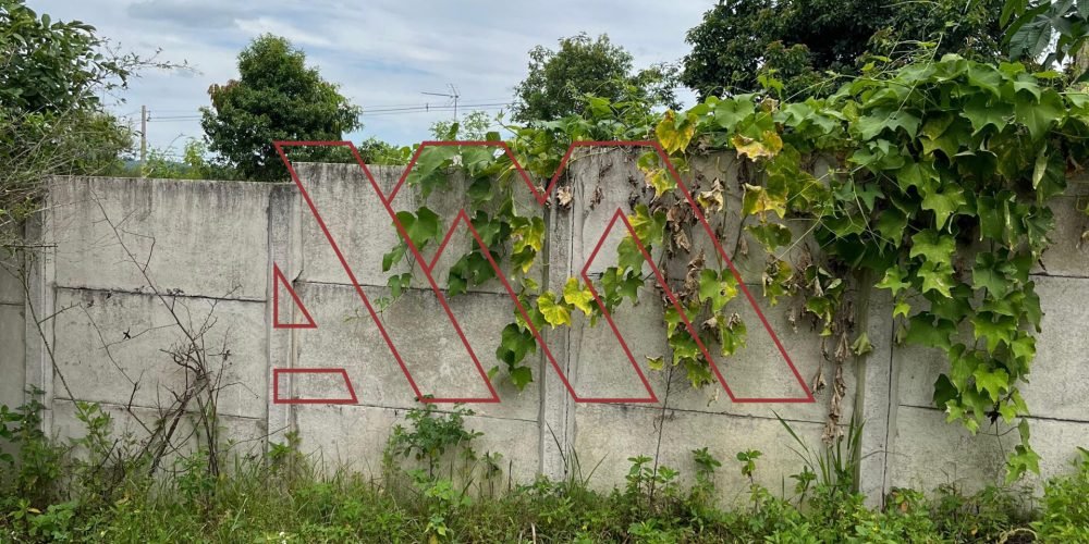 WhatsApp Image 2025-02-13 at 19.08.56