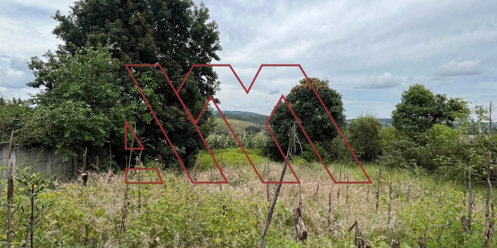 WhatsApp Image 2025-02-13 at 19.08.59