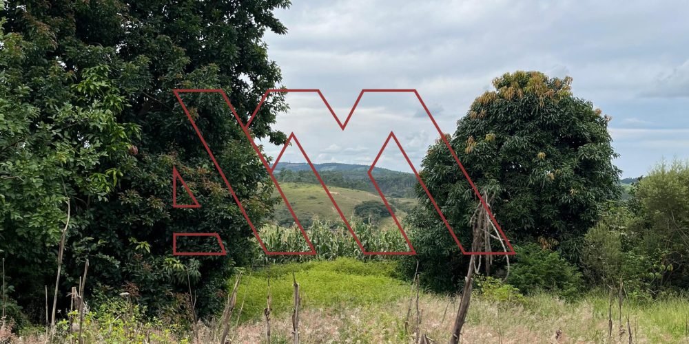 WhatsApp Image 2025-02-13 at 19.09.19