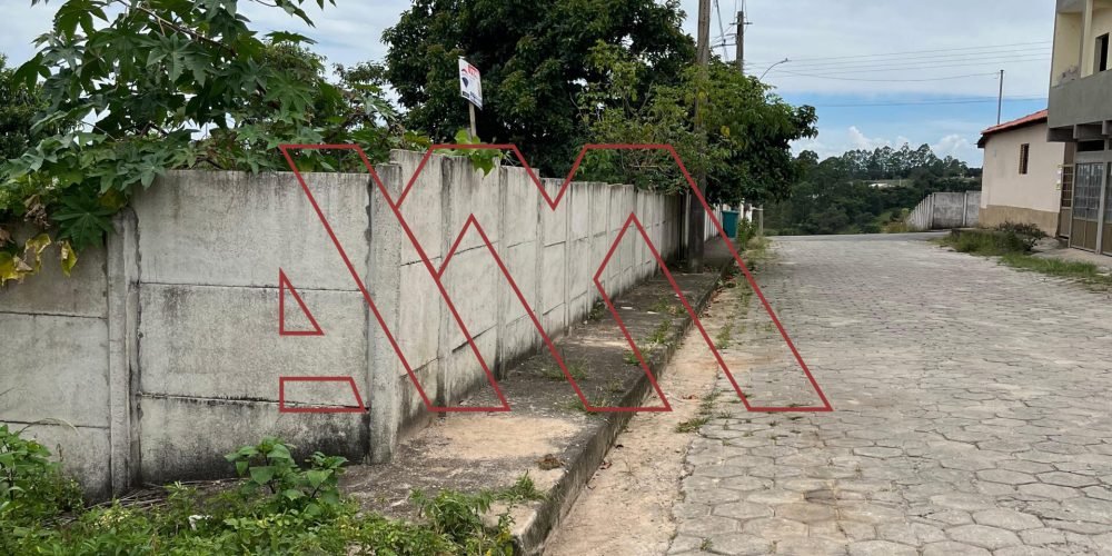 WhatsApp Image 2025-02-13 at 19.09.48