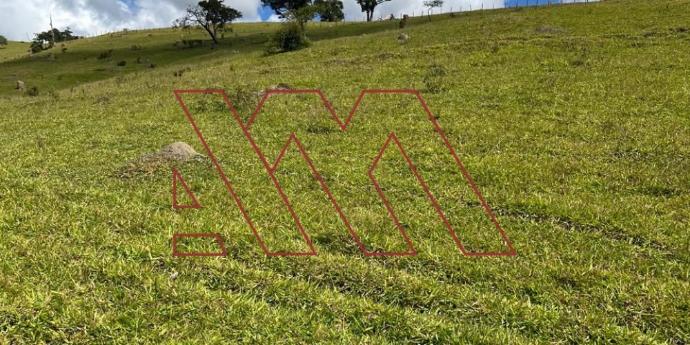 WhatsApp Image 2025-03-20 at 16.30.23 (4)