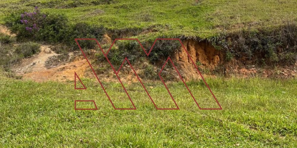 WhatsApp Image 2025-03-20 at 16.30.23