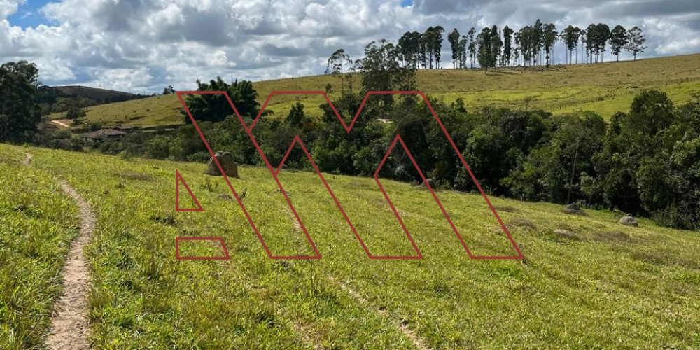 WhatsApp Image 2025-03-20 at 16.30.24 (1)