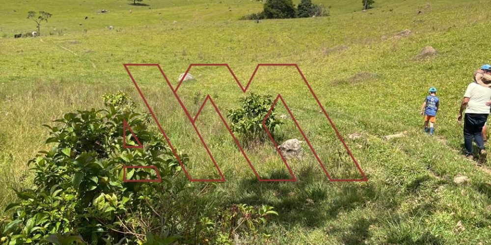 WhatsApp Image 2025-03-20 at 16.30.24 (2)