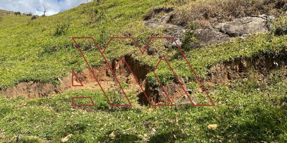 WhatsApp Image 2025-03-20 at 16.30.24 (3)