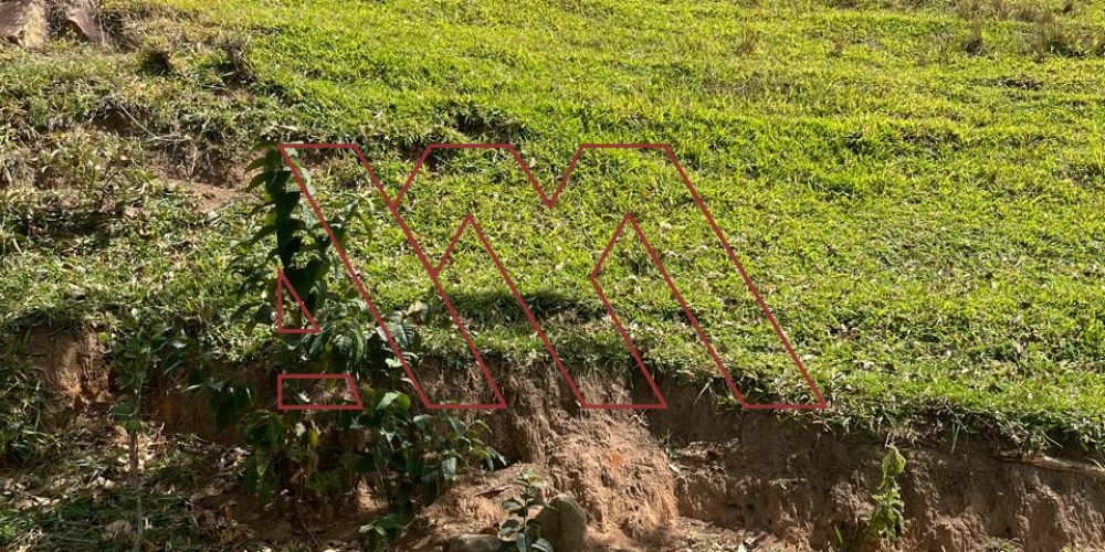 WhatsApp Image 2025-03-20 at 16.30.24 (4)