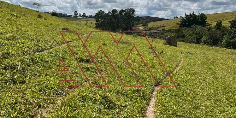 WhatsApp Image 2025-03-20 at 16.30.24