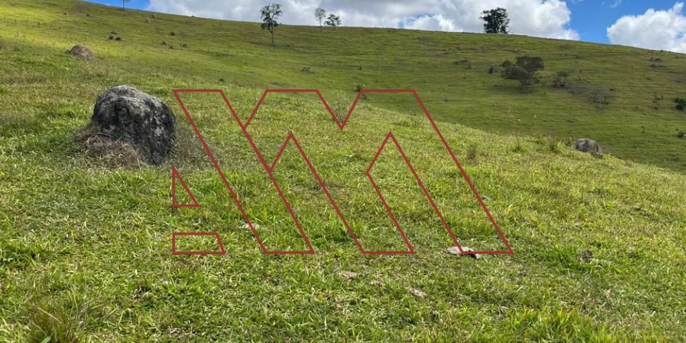 WhatsApp Image 2025-03-20 at 16.30.25 (2)