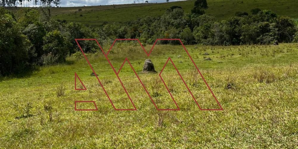 WhatsApp Image 2025-03-20 at 16.30.25