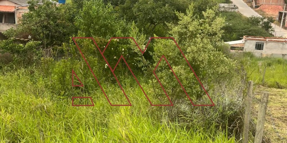 WhatsApp Image 2026-01-27 at 21.07.40 10