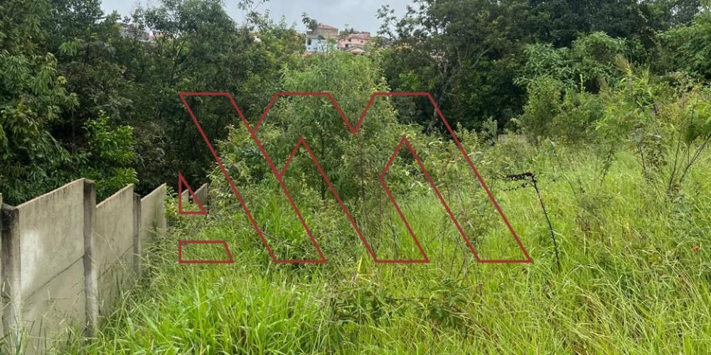 WhatsApp Image 2026-01-27 at 21.07.40 7