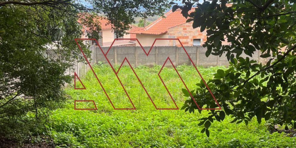 WhatsApp Image 2026-03-23 at 10.59.39 4