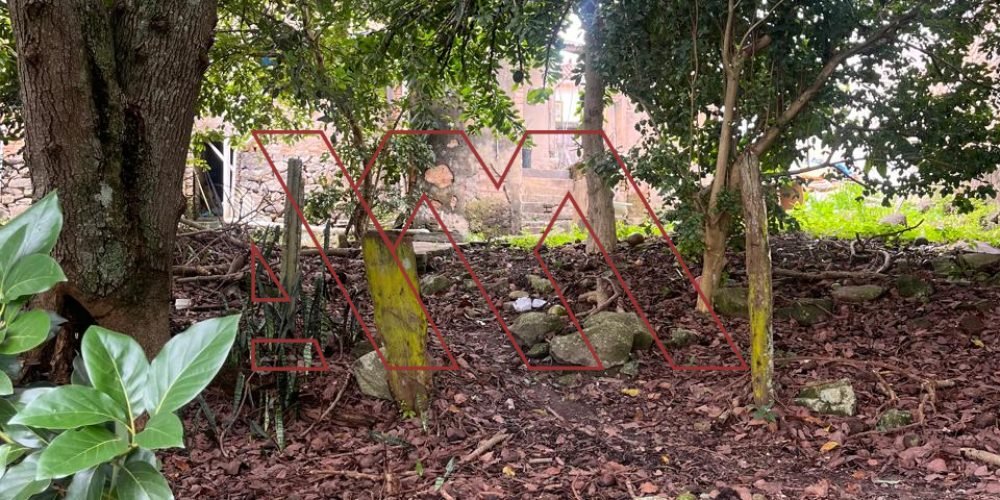 WhatsApp Image 2026-03-23 at 10.59.39 5