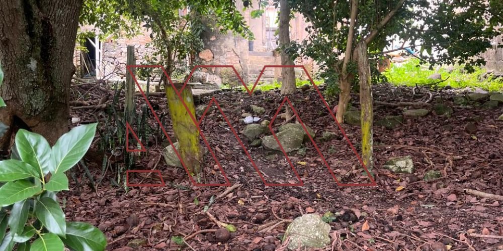 WhatsApp Image 2026-03-23 at 10.59.39 6