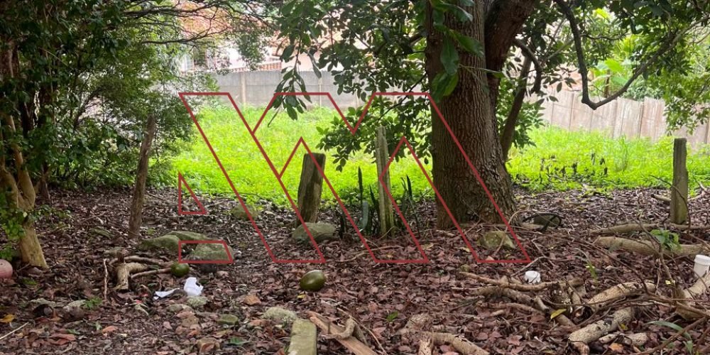 WhatsApp Image 2026-03-23 at 10.59.39